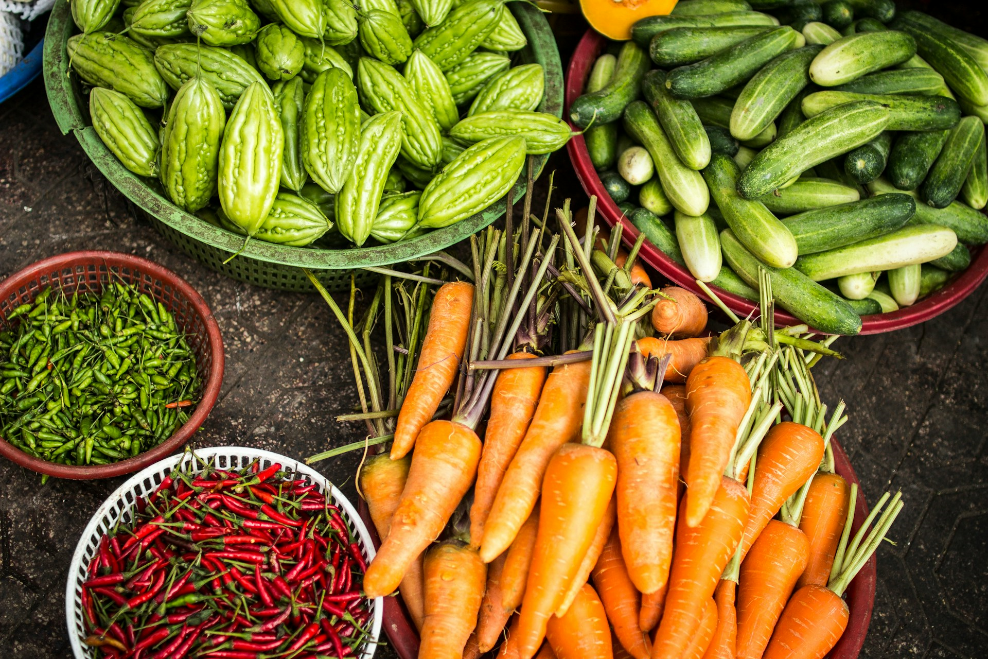 Specialized Legal Translation in Agri-Food Law